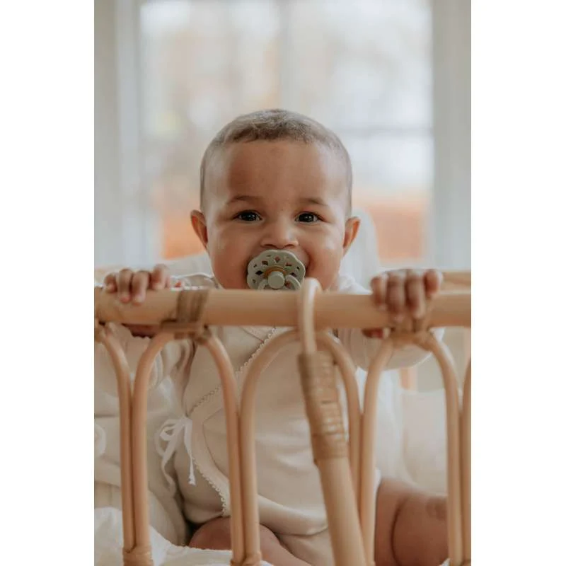 BIBS Round Boheme Pacifier - Sample pack - 5 pcs. - sz. 2 - Springtime Paris