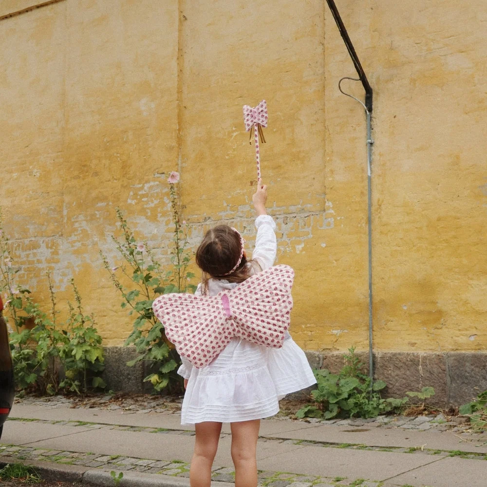 Детски костюм с крила на пеперуда Rosie Blush