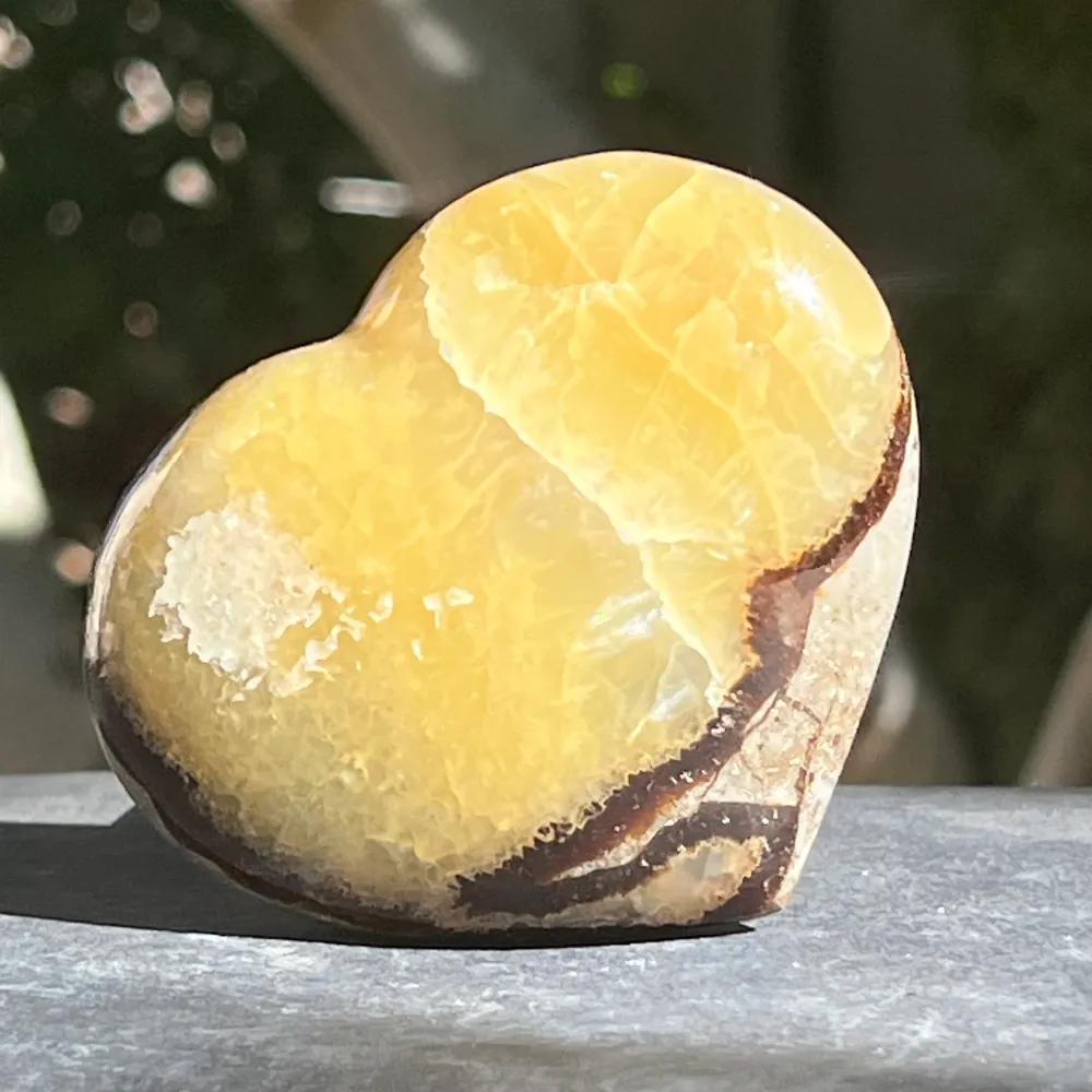 Септария сърце XL модел 5