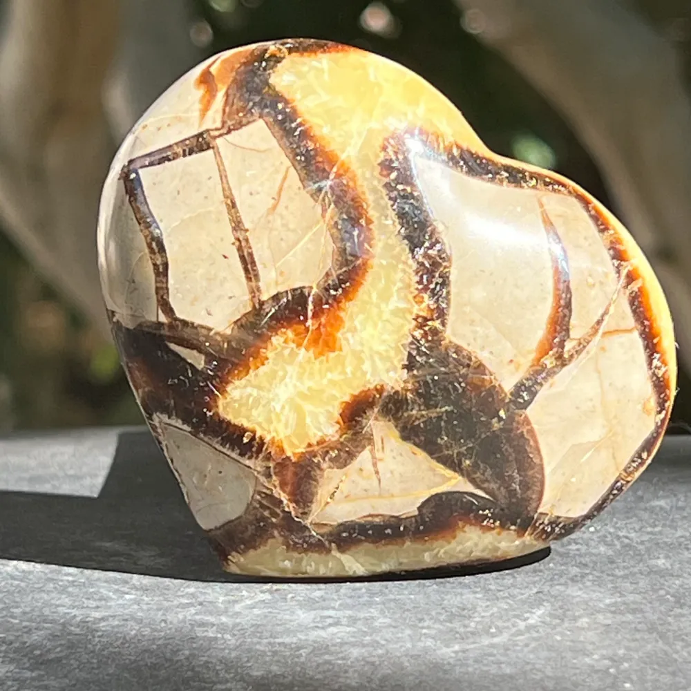 Сърдечна септария XL модел 1