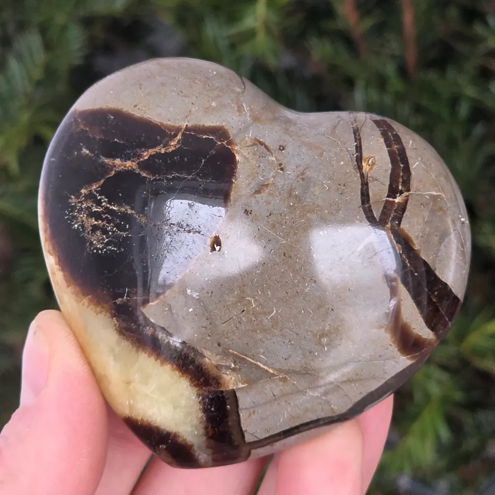 Сърдечна септария XL модел 4