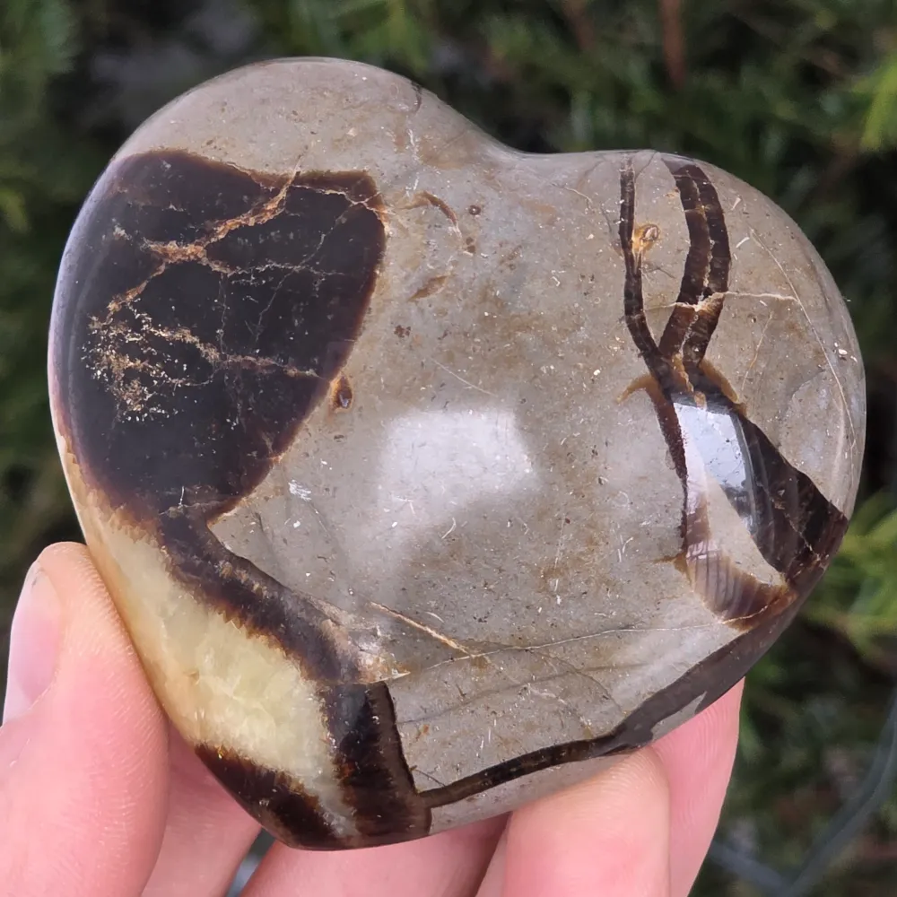 Сърдечна септария XL модел 4