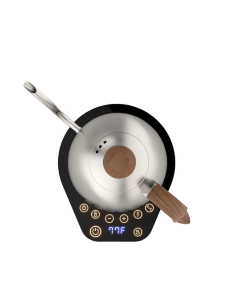 Brewista Artisan 1,0 л чайник с променлива гърловина - неръждаема стомана