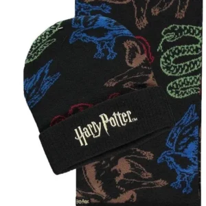 Комплект шал и шапка DIFUZED Harry Potter, Черен