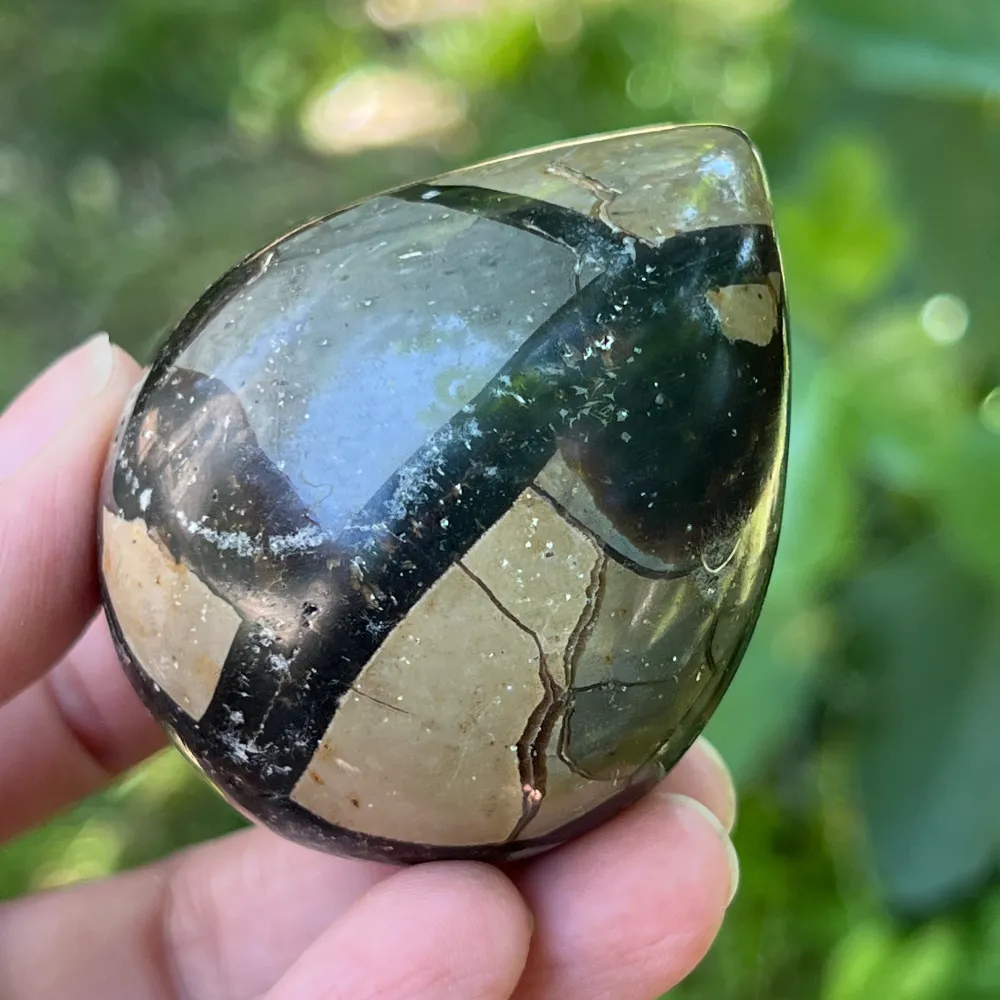 Egg Septaria от Madagascar mini, драконов камък, модел 13
