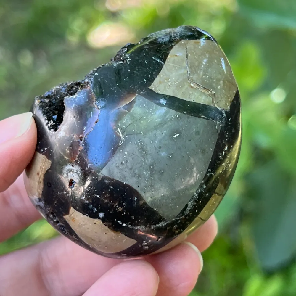 Egg Septaria от Madagascar mini, драконов камък, модел 13