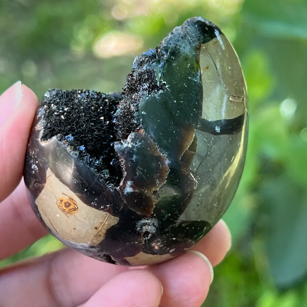 Egg Septaria от Madagascar mini, драконов камък, модел 13