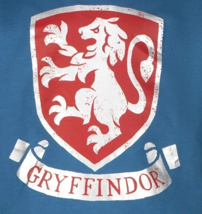 Блуза с дълъг ръкав Harry Potter Gryffindor Blue, размер 110