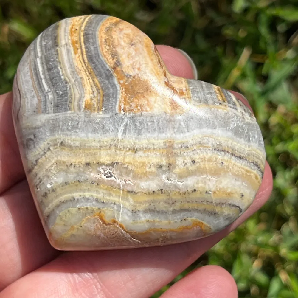 Jasper Heart Albino Модел 3