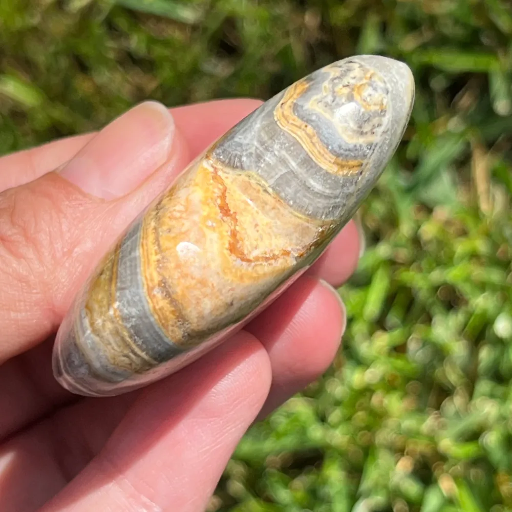 Jasper Heart Albino Модел 3