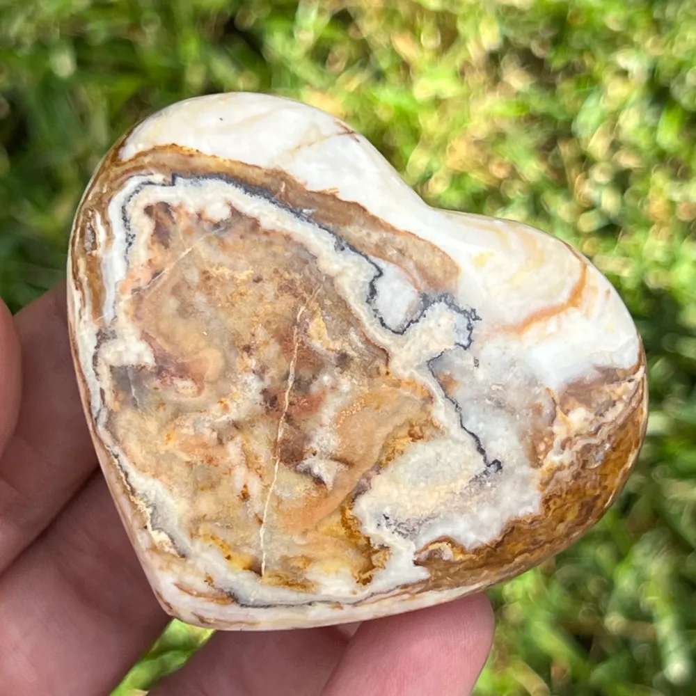 Шарка Jasper Heart Bee 5