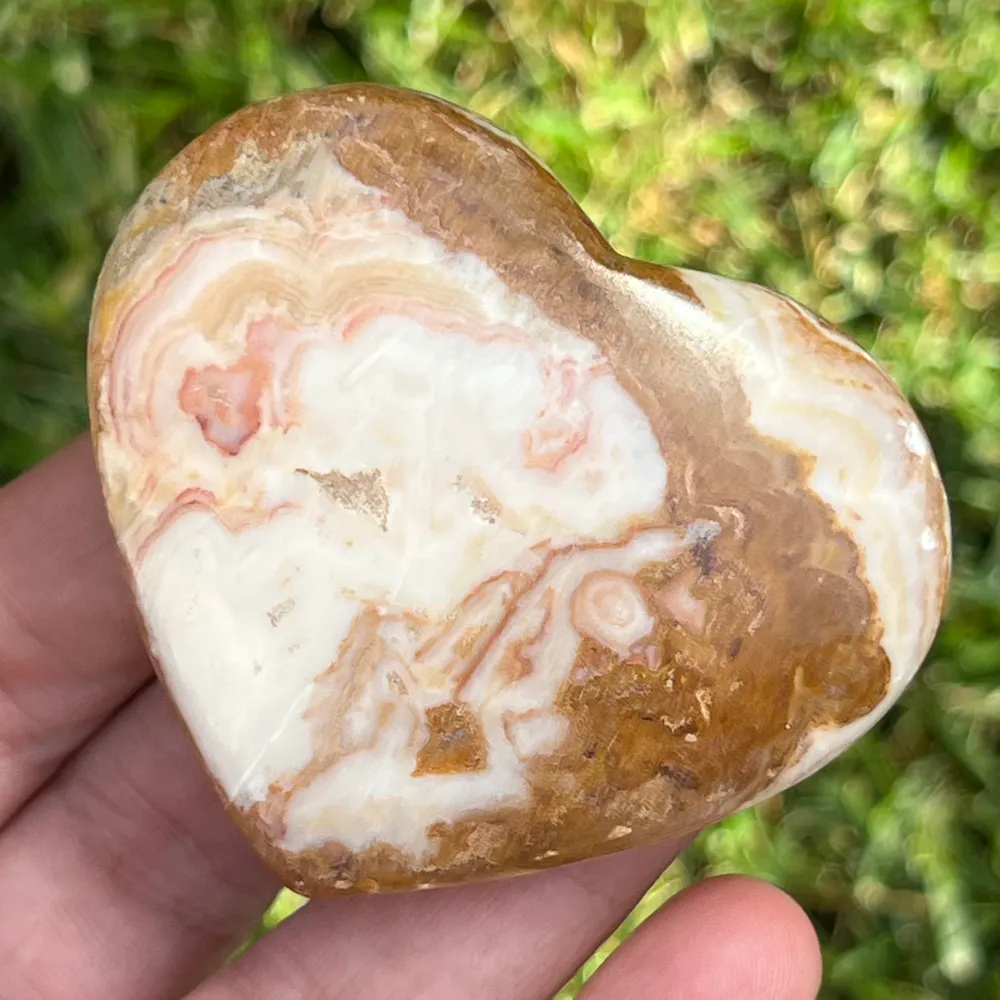 Шарка Jasper Heart Bee 5