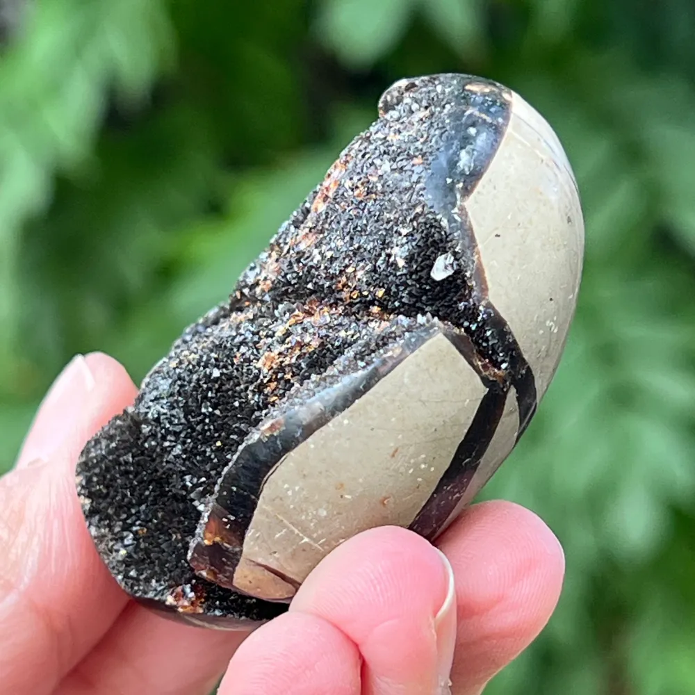 Septaria Egg от миниатюра Madagascar, драконов камък, модел 3