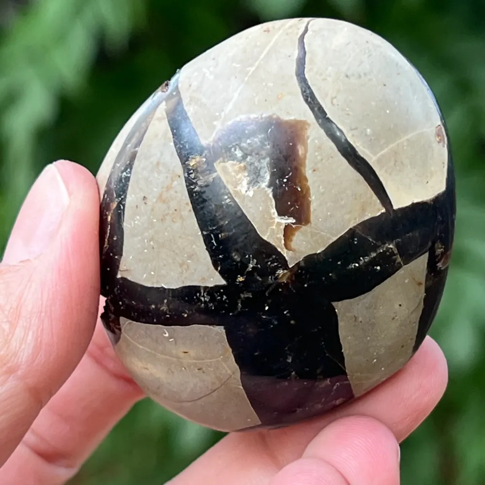 Septaria Egg от миниатюра Madagascar, драконов камък, модел 3