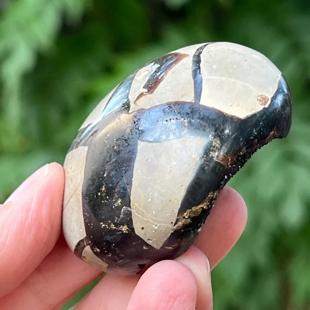 Septaria Egg от миниатюра Madagascar, драконов камък, модел 3
